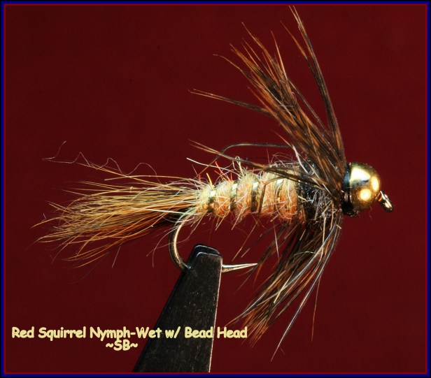 Red Squirrel Nymph w Bead Head SBx