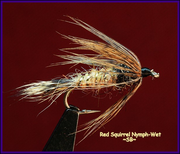 Red Squirrel Nymph-Wet SBx