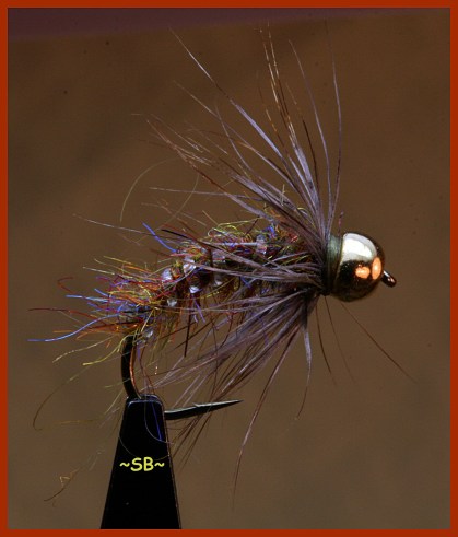 Fall C Pupa 5-