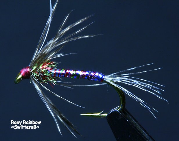 Any Sparse Wet Fly Pattern