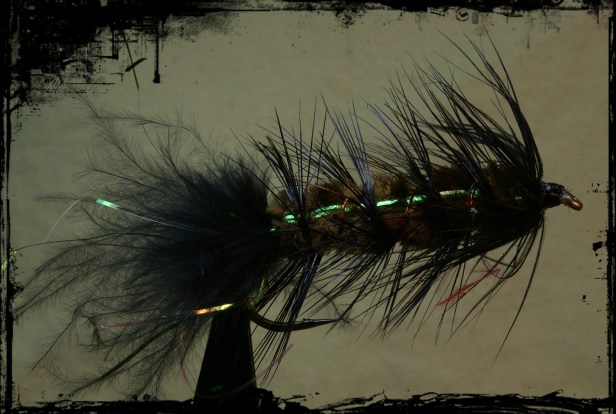 WB Side Flash w Rib2 SB