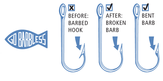 Fly Fishing: Barbless Hooks Unnecessary? SwittersB & Exploring Fly Fishing: Barbless Hooks Unnecessary? SwittersB & Exploring