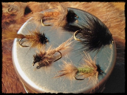 casual-dress-variations-540x405