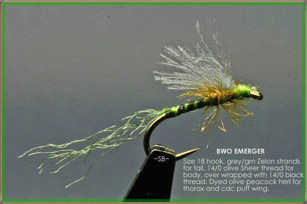 BWO Emerger SB