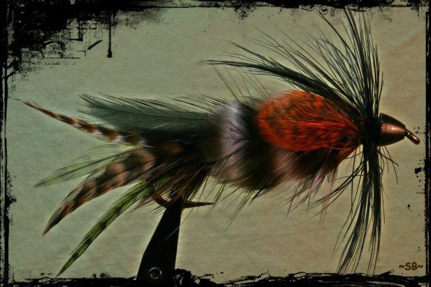 Hackle Barring and colors for mottled look? SB