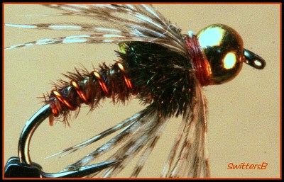 A Wet BH Pheasant Tail Ab-Peacock Thorax SB