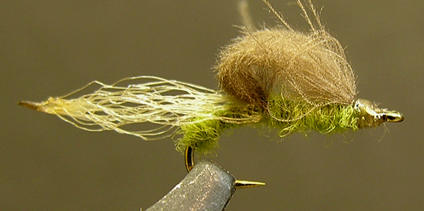 Mayfly Emerger
