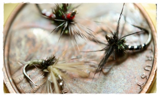 Anthony Naples Sakasa Kebari Flies