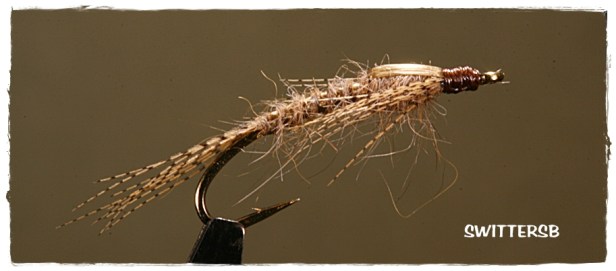 Callibaetis Nymph SB