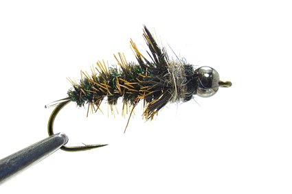 Hazel Cased Caddis JN