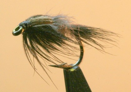 mayfly cat fur starling nymph swittersb