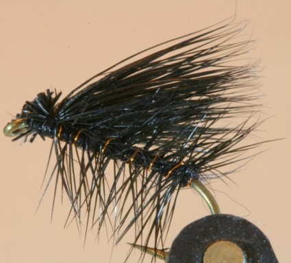 blk elk hr swittersb