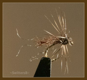 MIdge Emerger 3 Leaner SwittersB