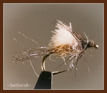 Midge Emerger SwittersB Medium