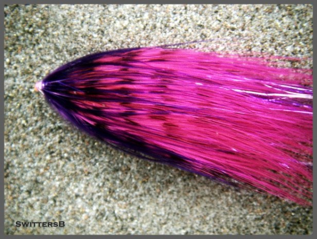 underwater-spey-popsicle-tm-sb