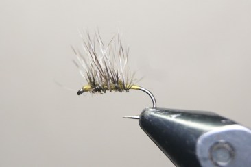 Big Grey by BooRod at UK Fly forums 2-2011