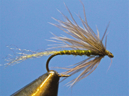 Wet-Dry-Fly-Gary Borger
