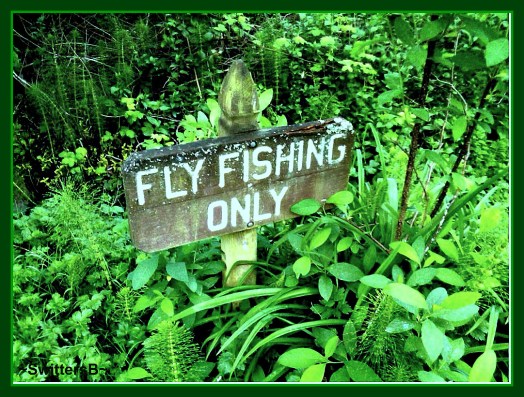 FF sign backyard-Green SB