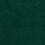 Forest-Green Gary Green