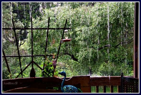 Heavy Down Pour May SwittersB