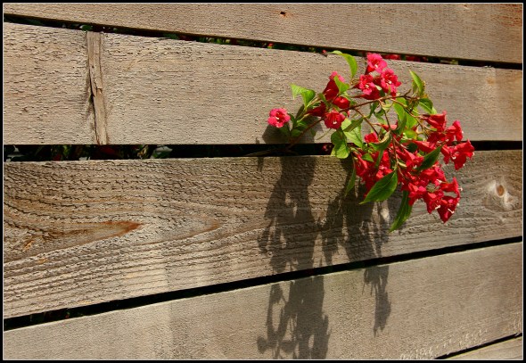 Seeking The Light SwittersB