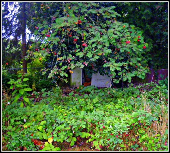 old playhouse swittersb