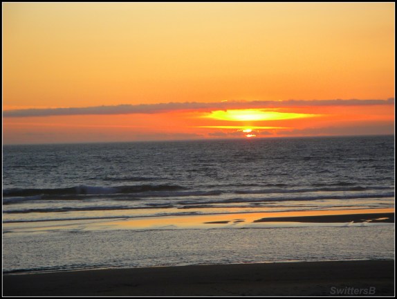 Oregon Coast SwittersB