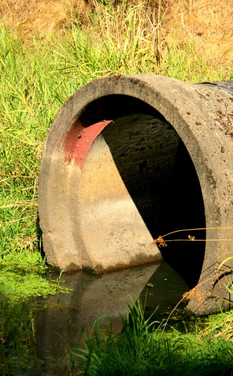 Pipe Shimmer SwittersB