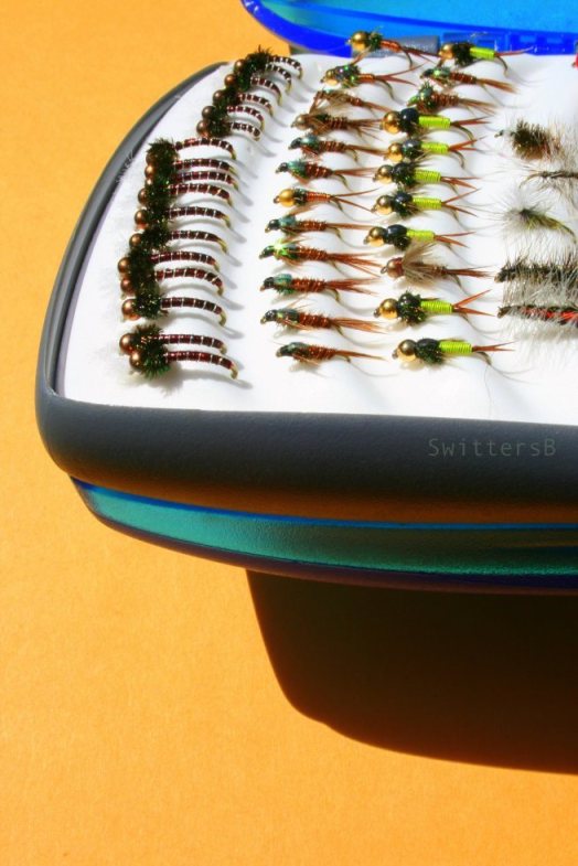 Nymphs SwittersB