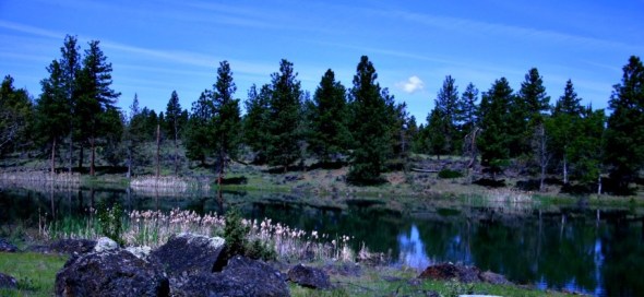 Calm Morningx No Logs