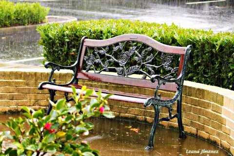 empty bench leana jimenez