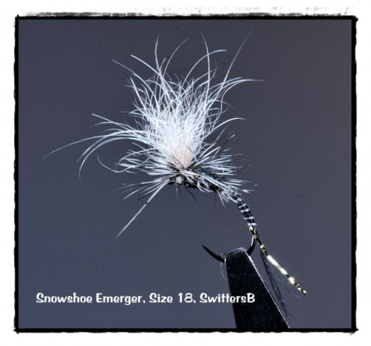 snowshoe-emerger-swittersb