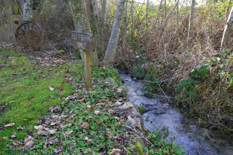 Spring Sign Wheel SB