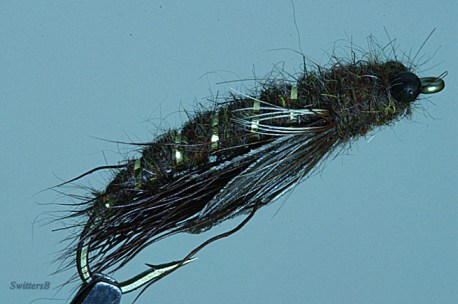 dragon caddis either swittersb