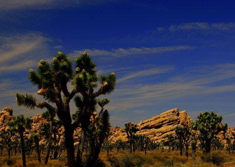 SwittersB JT Rocks SB3 SWITTERSB