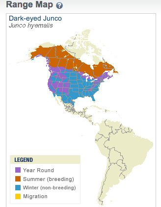 Junco Range