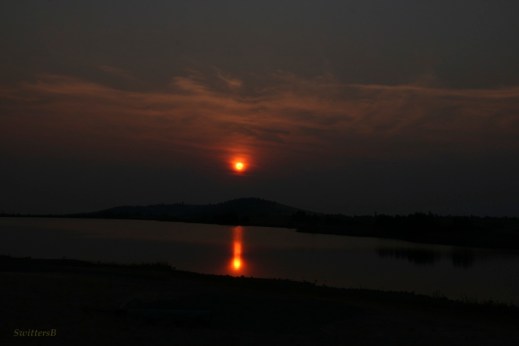 Early Sunrise SwittersB