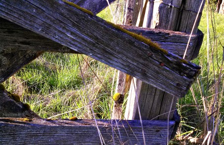 Old Fence 1 SwittersB