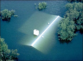 flood vics carpet dry