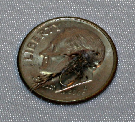 CaliNymphSwittersB Dime