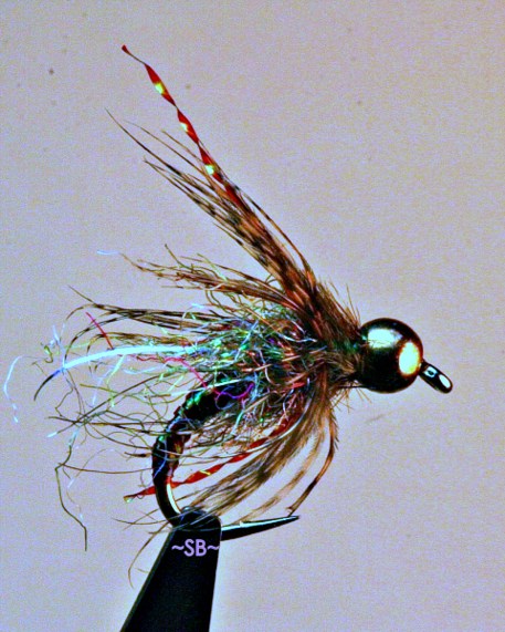 Sparkler Caddis Pupa SB