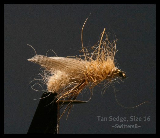 Tan Sedge SwittersB