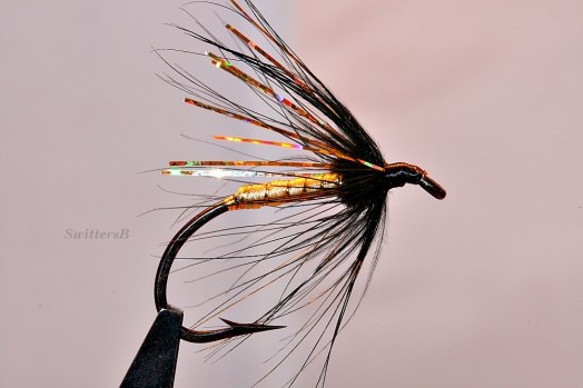 Amber Flash SwittersB