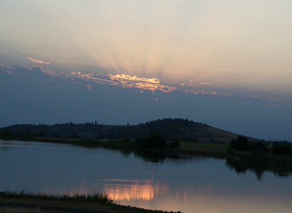 Dawn Early Morning Rays SwittersB