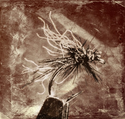 midge rustic SwittersB