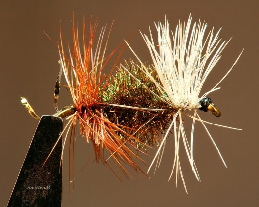 Renegade tattered SB