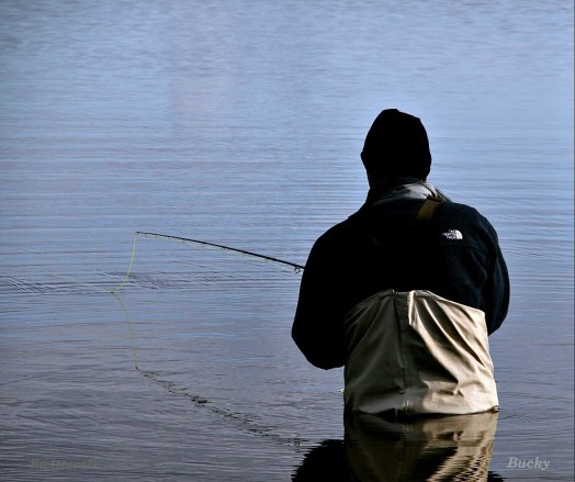 SwittersB Wading SB B