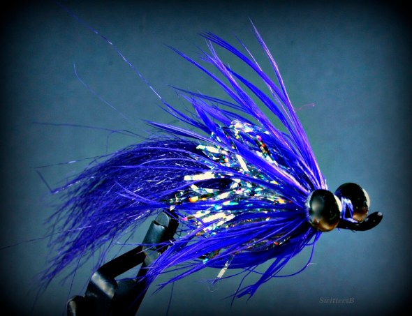 xsb blue comet swittersb