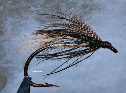 Black & Whitex SwittersB