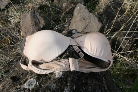 Bra Rock 1 swittersb